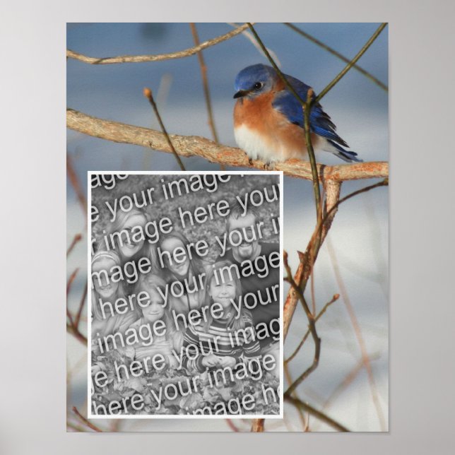 Winter Bluebird Frame Create Your Own Photo Poster (Front)