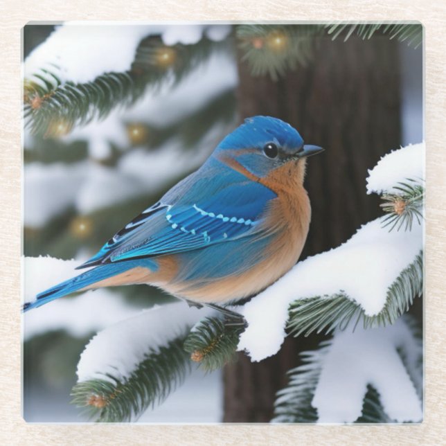 Winter Bluebird Glass Coaster (Front)