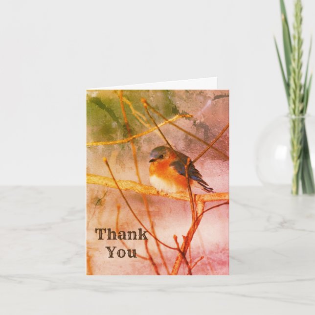 Winter Bluebird Nature Art Thank You Card (Front)