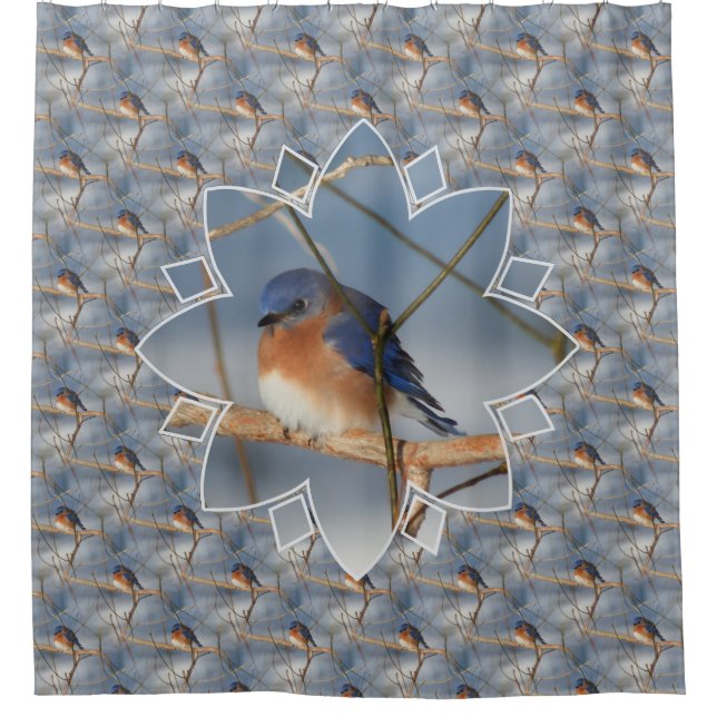Winter Bluebird Nature Bird Art Pattern  Shower Curtain (Front)