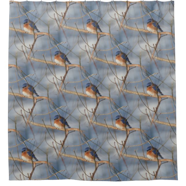 Winter Bluebird Nature Bird Art Pattern  Shower Curtain (Front)
