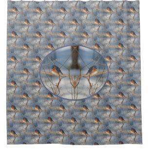 Winter Bluebird Nature Bird  Shower Curtain
