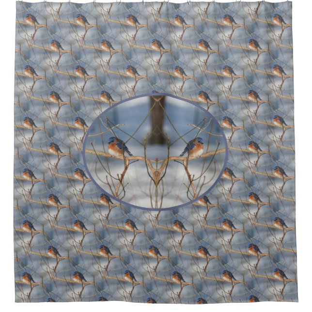 Winter Bluebird Nature Bird  Shower Curtain (Front)