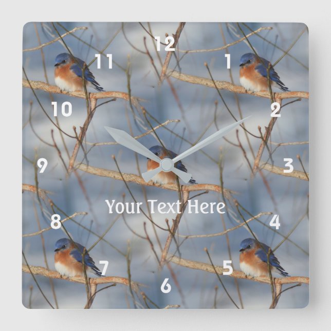 Winter Bluebird Nature Pattern Personalized Square Wall Clock (Front)