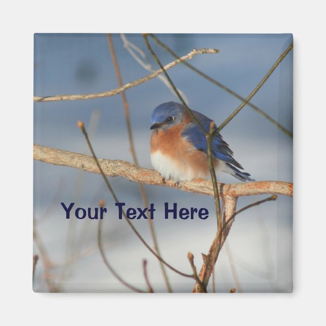 Winter Bluebird Personalised Animal Magnet (Front)
