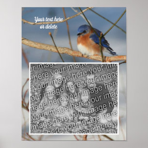 Winter Bluebird Personalised Create Your Own Photo Poster