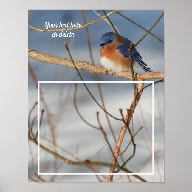 Winter Bluebird Personalised Create Your Own Photo Poster (Front)
