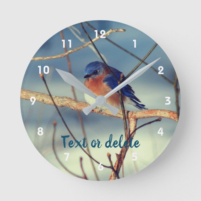 Winter Bluebird Personalized   Round Clock (Front)