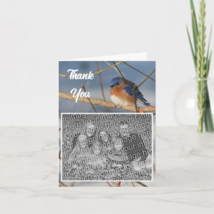 Winter Bluebird Wedding Photo Thank You Card