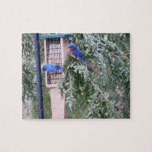 Winter Bluebirds Jigsaw Puzzle