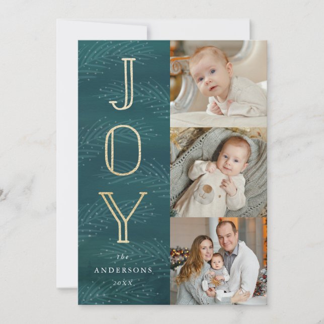 Winter Branches | Holiday Photo Card (Front)