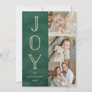 Winter Branches Holiday Photo Card