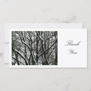 Winter Branches - Thank You Card
