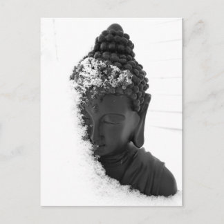 Winter Buddha Postcard