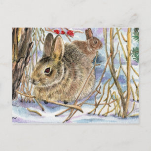 Winter Bunnies Postcard
