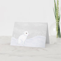 Winter Bunny Holiday Card