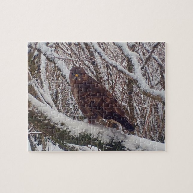 Winter Buzzard Perched on Frosty Branch Woodland  Jigsaw Puzzle (Horizontal)