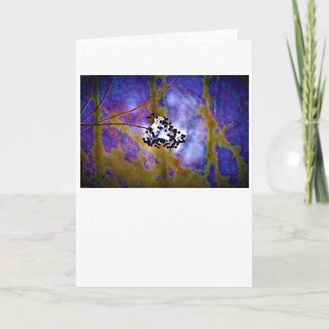 Winter, card (Front)