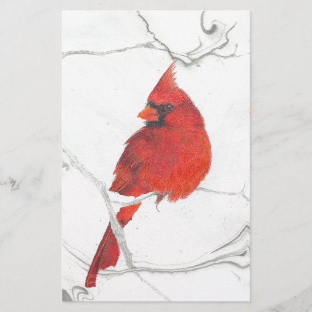 Winter Cardinal Drawing Stationery (Front)