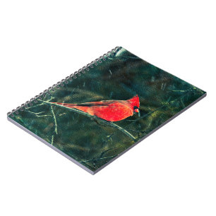 Winter Cardinal in Snowstorm - Enhanced Notebook
