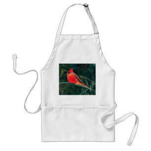 Winter Cardinal in Snowstorm - Enhanced Standard Apron