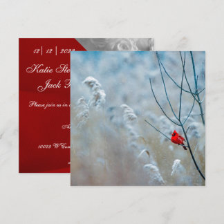 Winter Cardinal Invitation