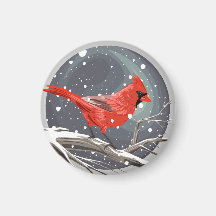 Winter Cardinal