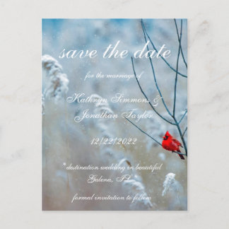 Winter Cardinal save the date Invitation Postcard