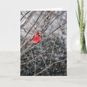 Winter Cardinal & Snow Greeting Card