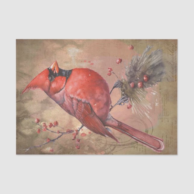 Winter Cardinal Tissue Paper (Front)