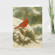 Winter Cardinal Watercolor_1