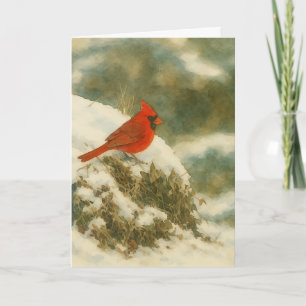 Winter Cardinal Watercolor_1 Card