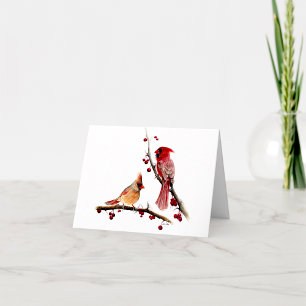 Winter Cardinals Berries Thank You Card