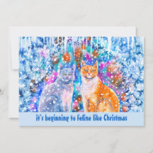 Winter Cats Funny Holiday Pun Christmas Card