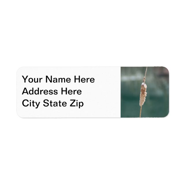 Winter Cattail Closeup Return Address Label (Front)