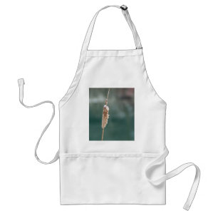 Winter Cattail Closeup Standard Apron