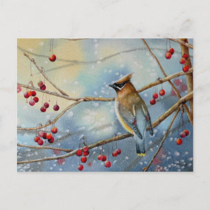 Winter Cedar Waxwing Bird & Berries Watercolor Art Postcard