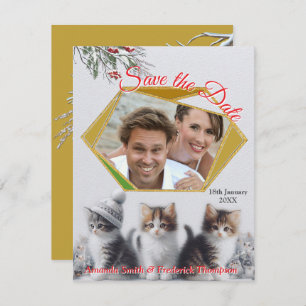 Winter Celebrations in the Snow, with Kittens Announcement