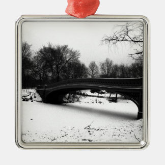 Winter Centeral Park NYC. Metal Ornament