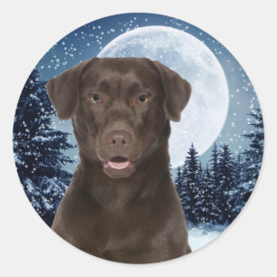 Winter Chocolate Lab Sicker Classic Round Sticker