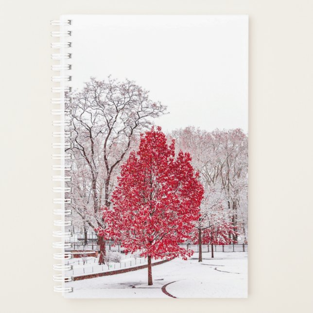 winter christmas 89 planner (Front)