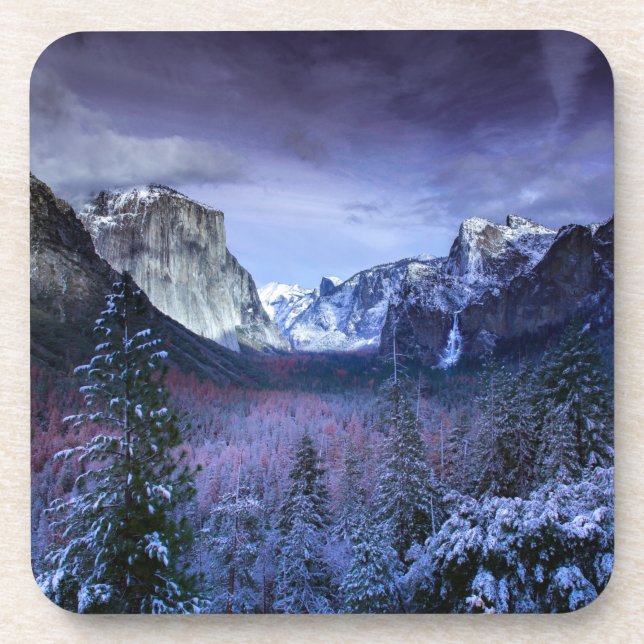 winter christmas 94 coaster (Front)