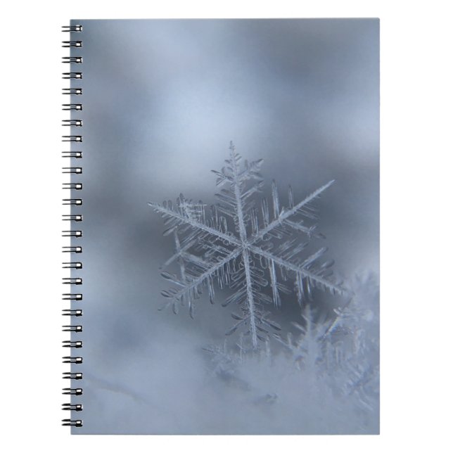 winter christmas 97 notebook (Front)
