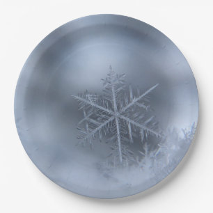 winter christmas 97 paper plate