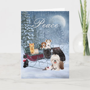 Winter Christmas Card with Dogs, Cats, Puppies