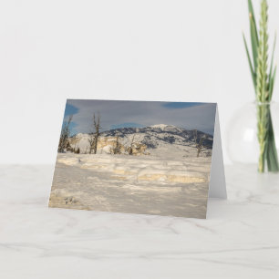 Winter - Christmas - Holiday - Yellowstone- Nature Card