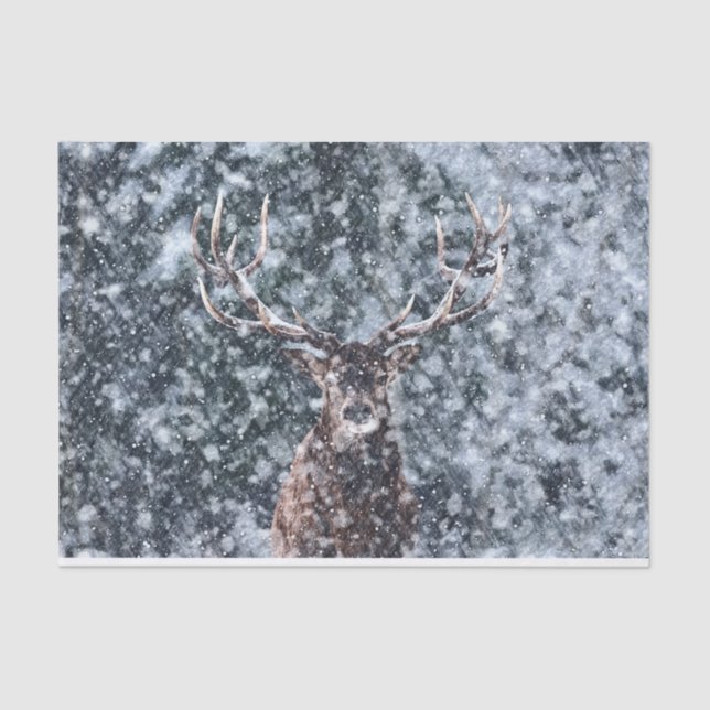 Winter Christmas Snow Deer Tissue Paper (Front)
