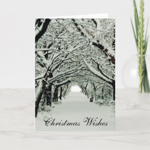 Winter & Christmas Wishes Holiday Card