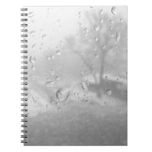 winter city window notebook