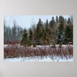 Winter Colours Poster